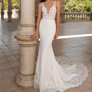 Wedding Dress Pronovias Erandi